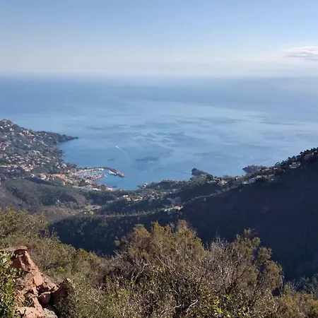Apartamento Cap Esterel Village : 2 Pieces Rez De Jardin Renove C6- 277la